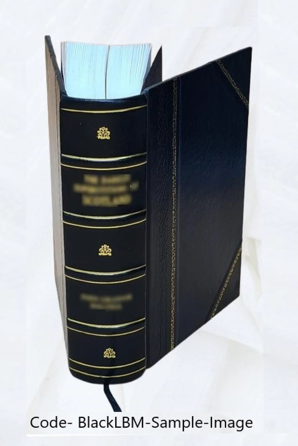 Orion : historisk-geographisk maanedskrift / redigeret af T. Becker. Volume v.1-2 1841 [Leather Bound]