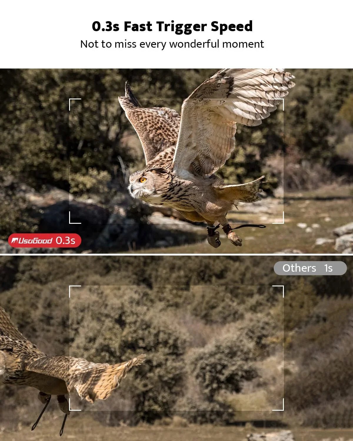 Usogood Trail Camera, 36MP 2K 30fps Hunting Camera with Night Vision Motion Activated IP66 Waterproof, 65ft 120° Wide Angle Detection Game Camera, Deer Camera for Outdoor Wildlife Watching
