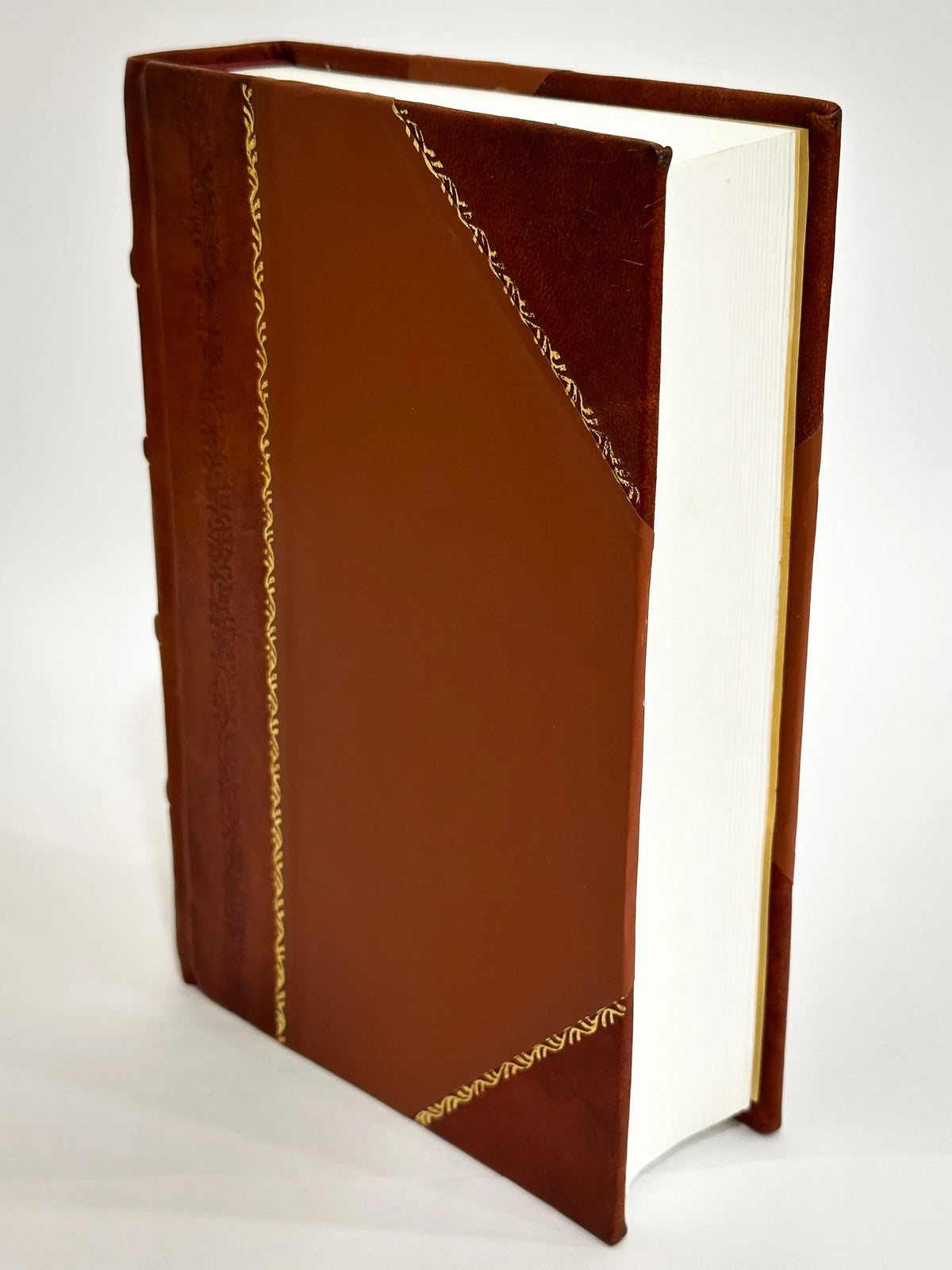 Rivista Bibliografia Italiana / Sizealvatore Minocchi (1903) (1903) [Leather Bound]