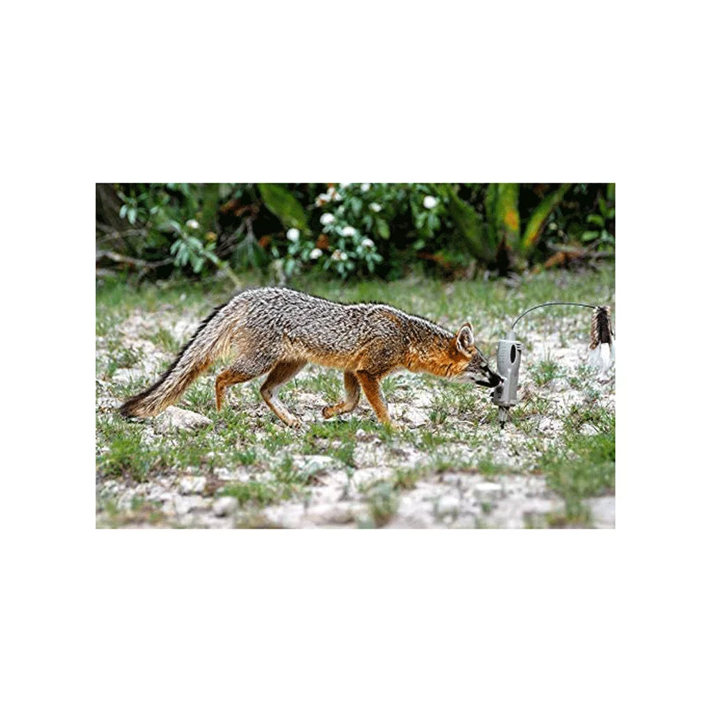 ICOtec ICO30200 Universal Predator Decoy with Sizepeed Dial, LED Lights, & Toppers