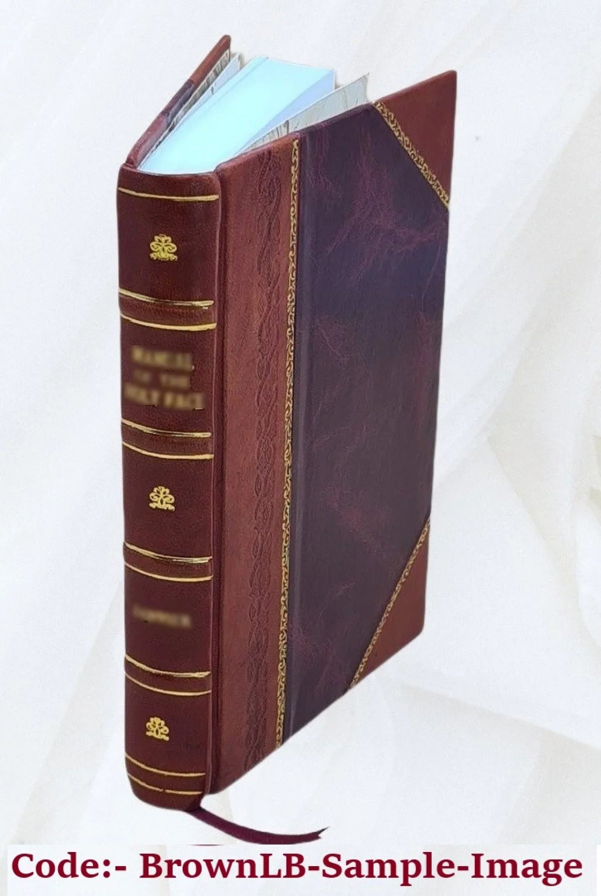 Memórias do Instituto Oswaldo Cruz. Volume v.11 1919 1919 [Leather Bound]