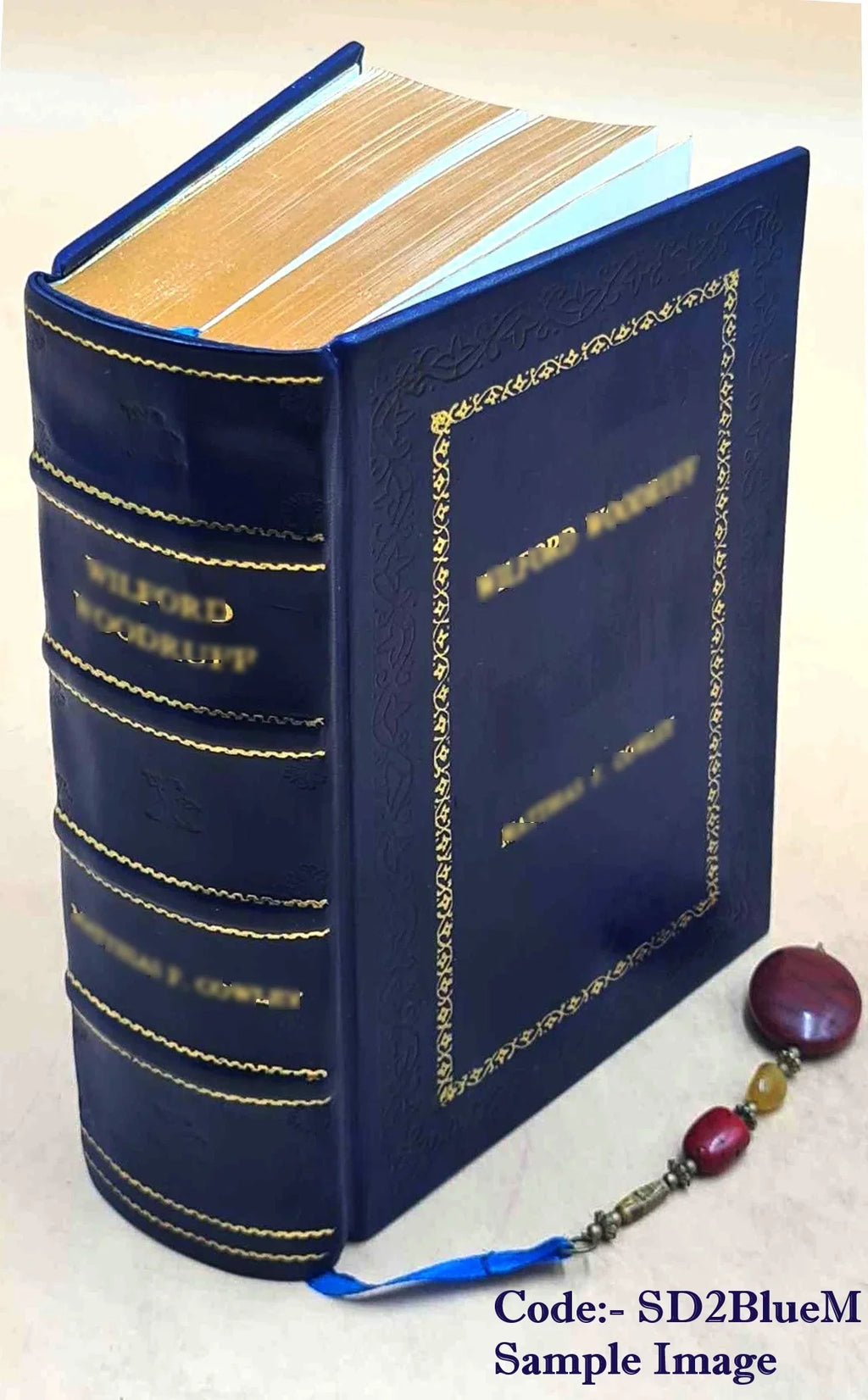 FSizeI Conversational Finnish Sizetudent Text [Premium Leather Bound]