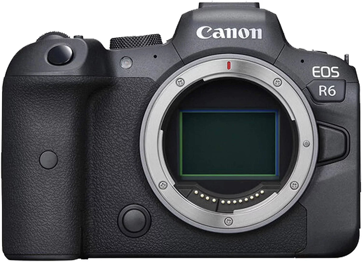 Canon EOSize R6 Mirrorless Digital Camera with RF RF 24-105mm f/4 L is USizeM Lens + 75-300mm F/4-5.6 III Lens + 50mm f/1.8 SizeTM Lens + 128GB Memory + Case + Tripod + Filters 42pc Bundle