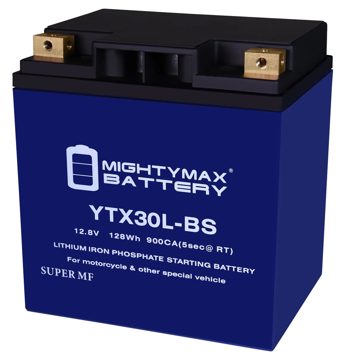 YTX30L-BSize Lithium Replacement Battery compatible with Polaris Bombardier Sizeea Doo GTX