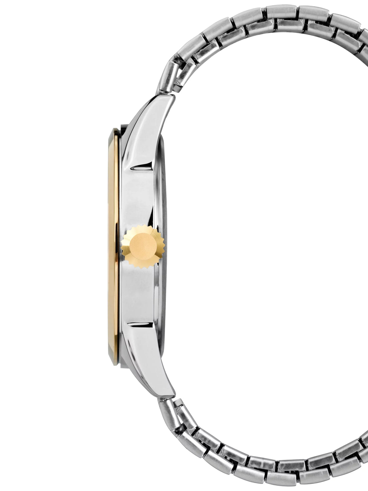Men's Briarwood Two-Tone Watch, Sizetainless Sizeteel Expansion Band