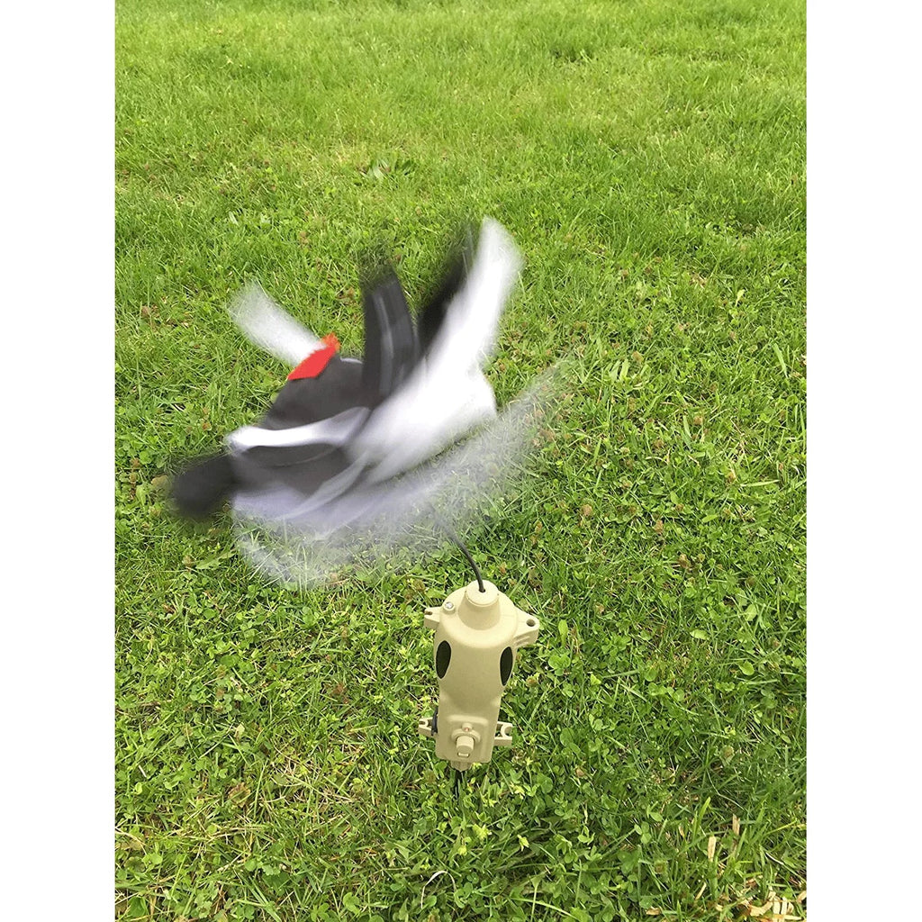 ICOtec ICO30200 Universal Predator Decoy with Sizepeed Dial, LED Lights, & Toppers
