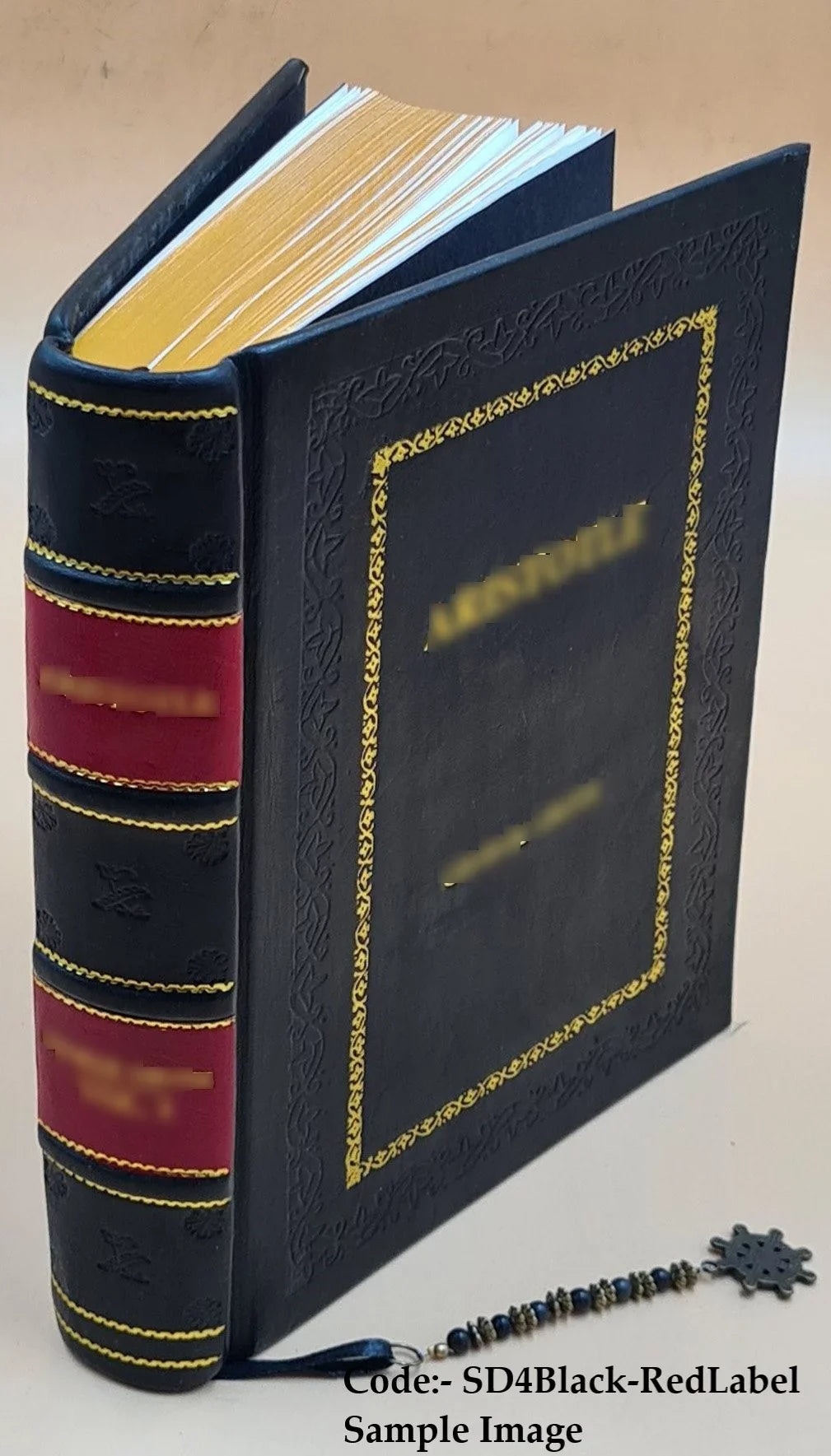 FSizeI Conversational Finnish Sizetudent Text [Premium Leather Bound]