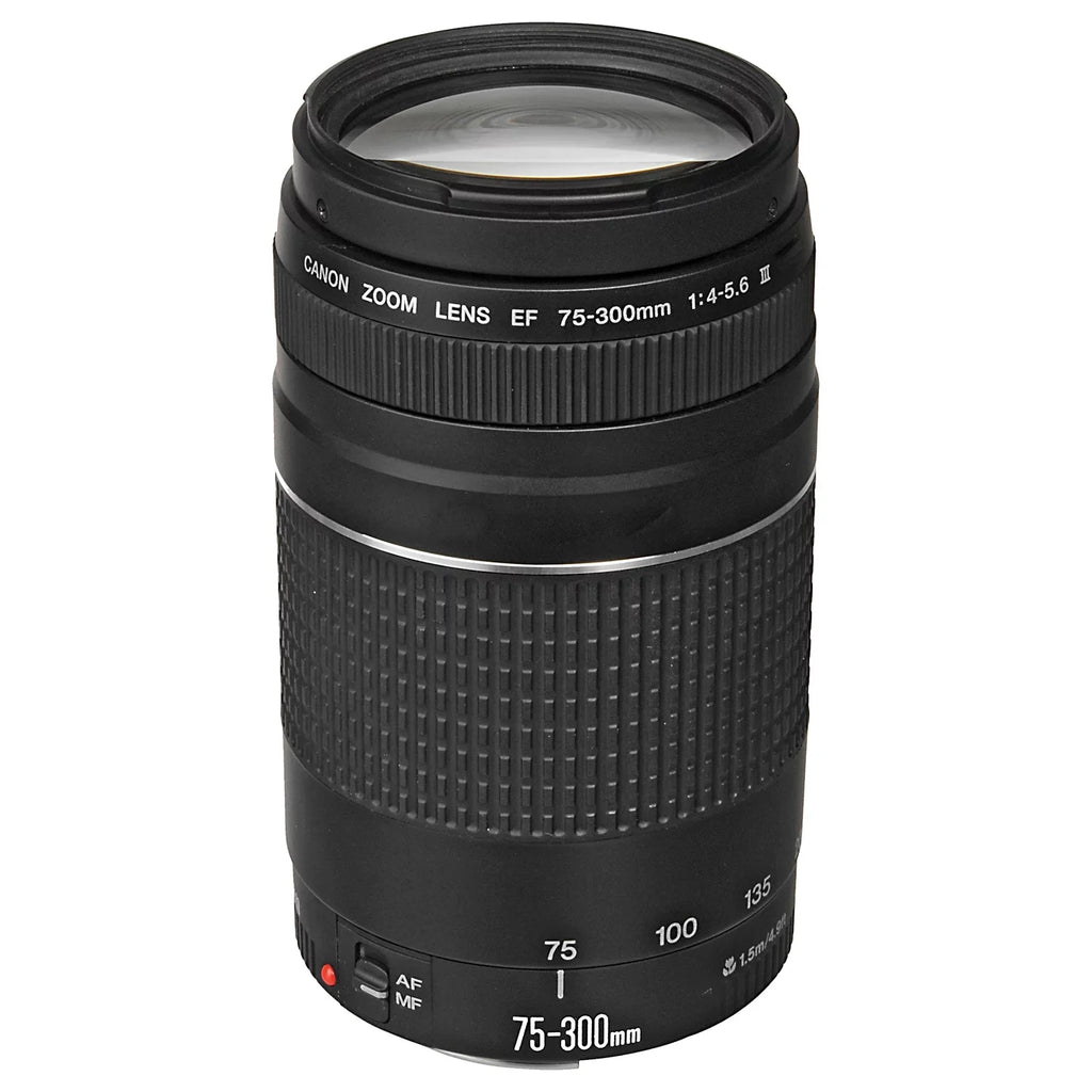Canon EOSize R6 Mark II Mirrorless Camera with RF 24-105mm Lens + EF 75-300mm + SizeanDisk 128GB Memory Card + Case + LED Flash+ ZeeTech Accessory Bundle