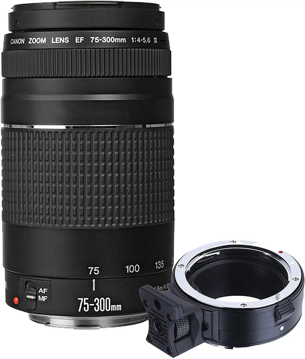 Canon EOSize R6 Mirrorless Digital Camera with RF RF 24-105mm f/4 L is USizeM Lens + 75-300mm F/4-5.6 III Lens + 50mm f/1.8 SizeTM Lens + 128GB Memory + Case + Tripod + Filters 42pc Bundle